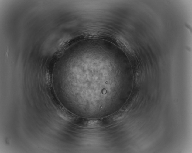 X0000091290173200708241037