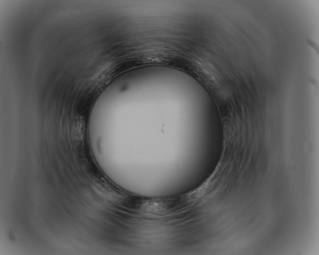 X0000091290174200708241037