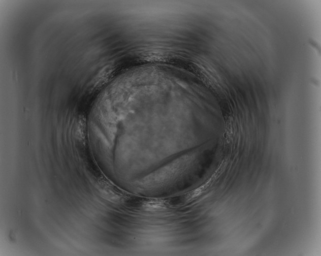 X0000091290175200708241037