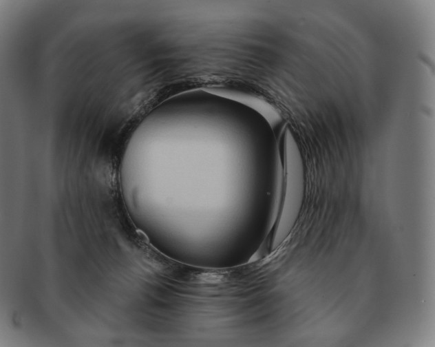 X0000091290176200708241037