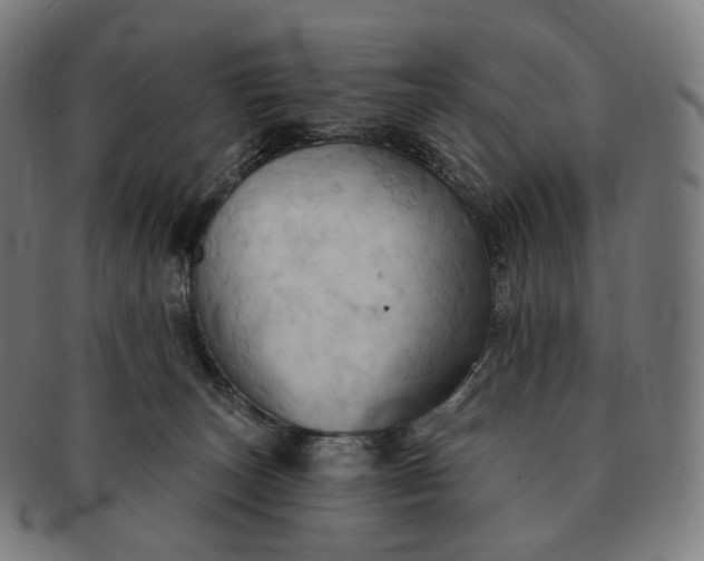 X0000091290179200708241037