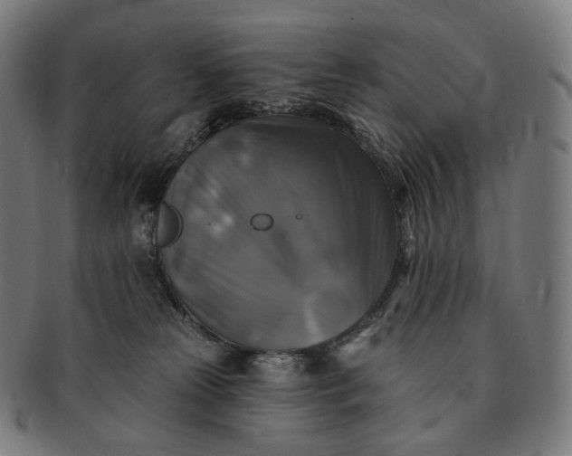 X0000091290181200708241037