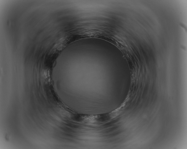 X0000091290182200708241037