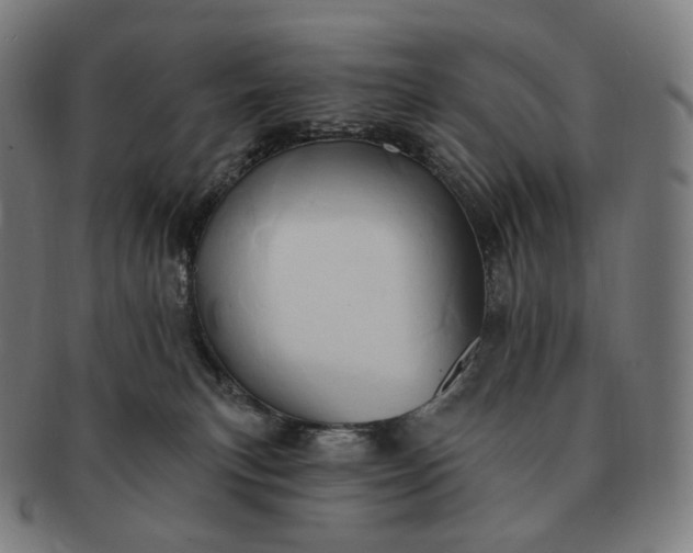 X0000091290183200708241037