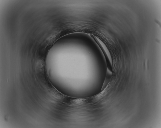 X0000091290184200708241037