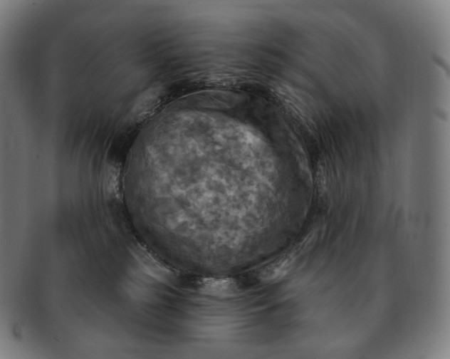 X0000091290185200708241037