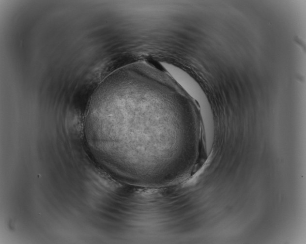 X0000091290186200708241037