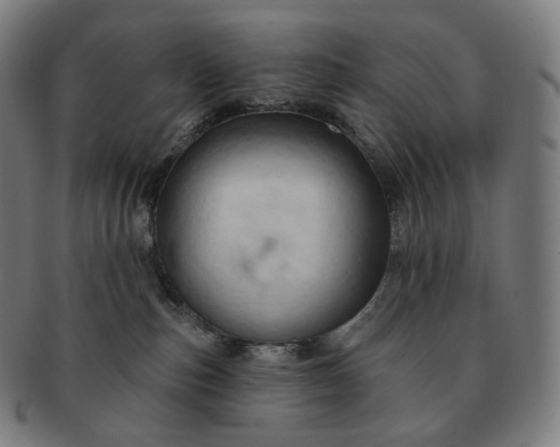 X0000091290187200708241037