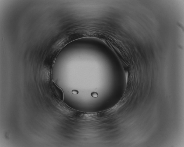 X0000091290188200708241037