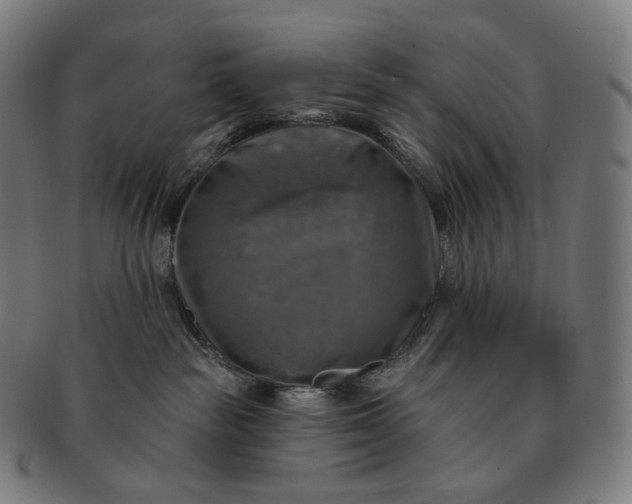 X0000091290189200708241037