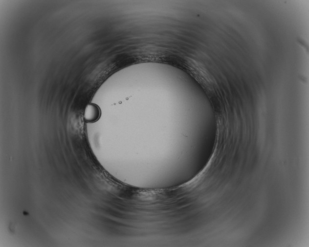 X0000091290190200708241037