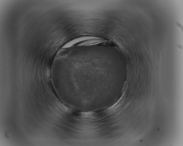 X0000091290192200708241037