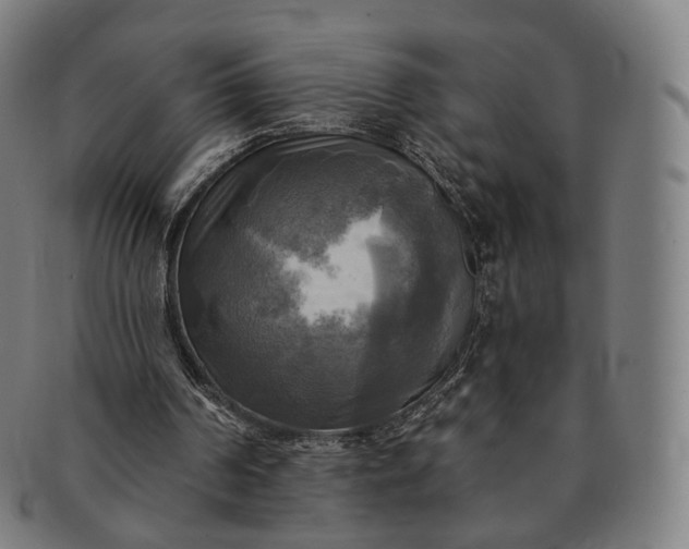 X0000091290194200708241037