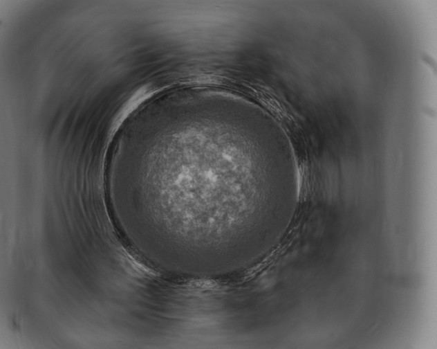 X0000091290195200708241037