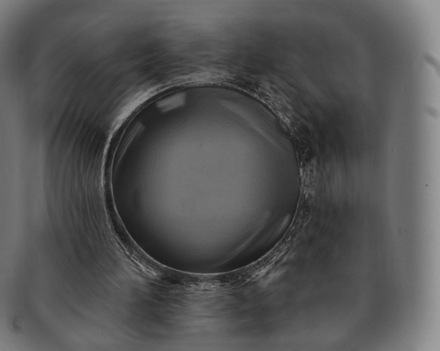 X0000091290196200708241037