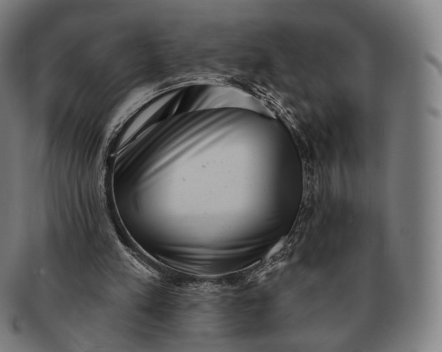 X0000091290197200708241037