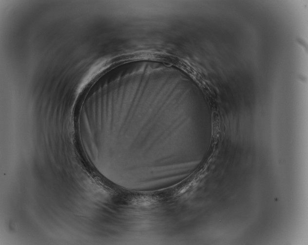 X0000091290198200708241037