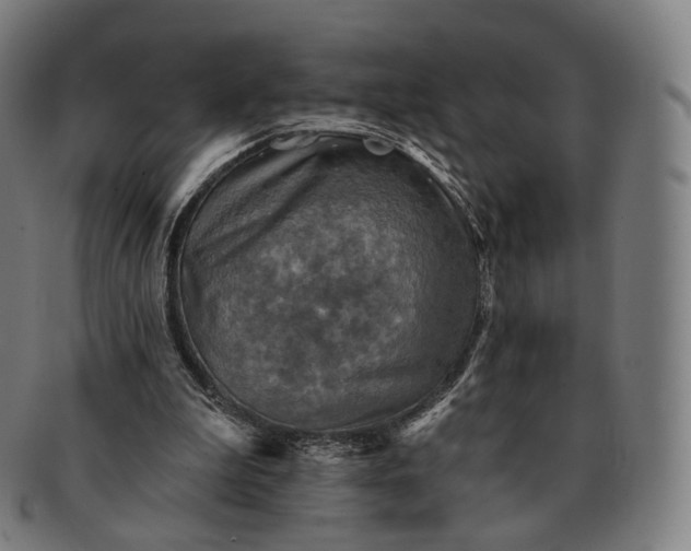 X0000091290199200708241037