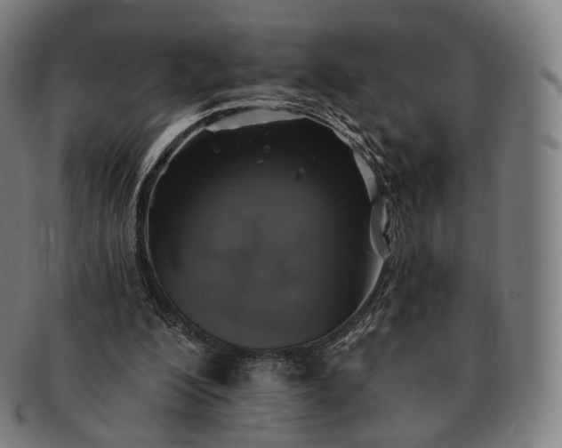 X0000091290200200708241036