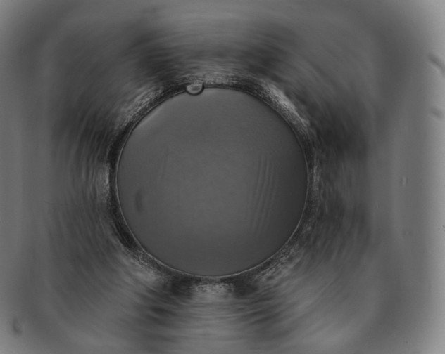 X0000091290202200708241036