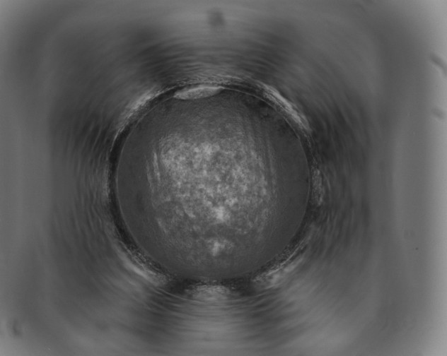 X0000091290203200708241036