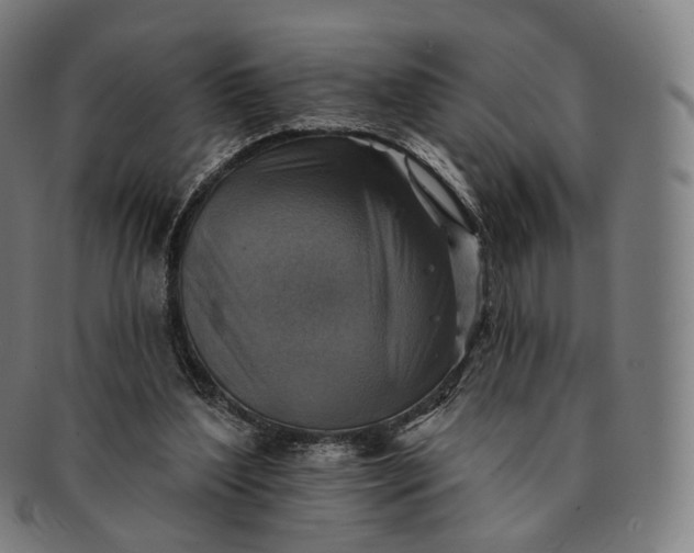 X0000091290204200708241036