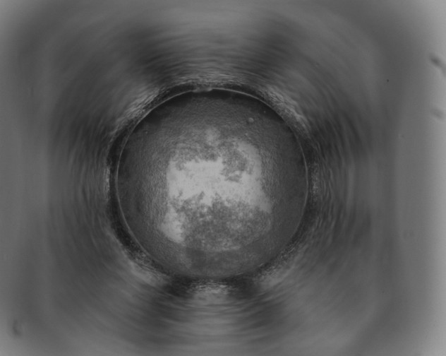 X0000091290206200708241036