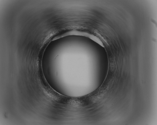 X0000091290207200708241036