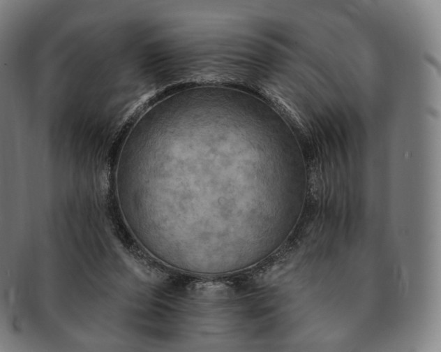 X0000091290208200708241036