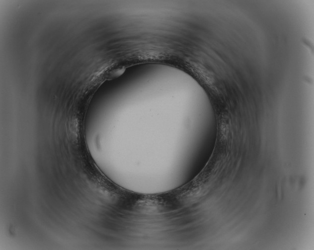 X0000091290211200708241036