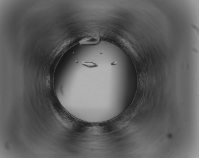 X0000091290212200708241036