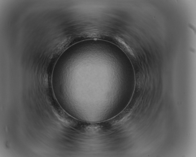 X0000091290213200708241036