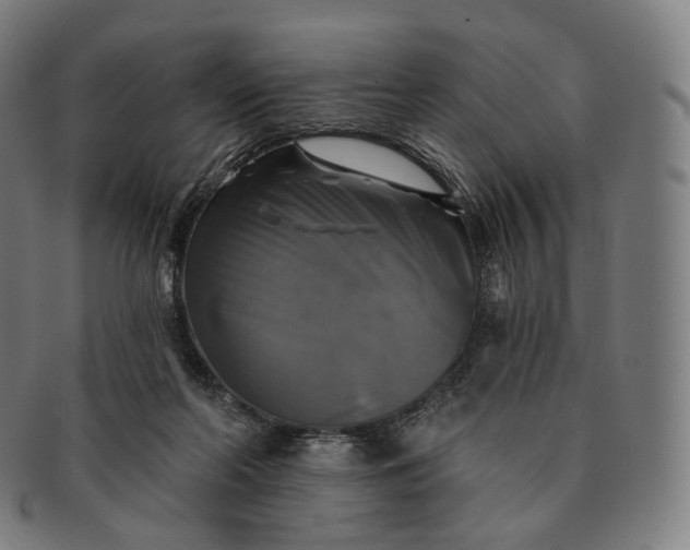 X0000091290214200708241036