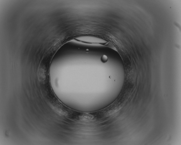 X0000091290215200708241036