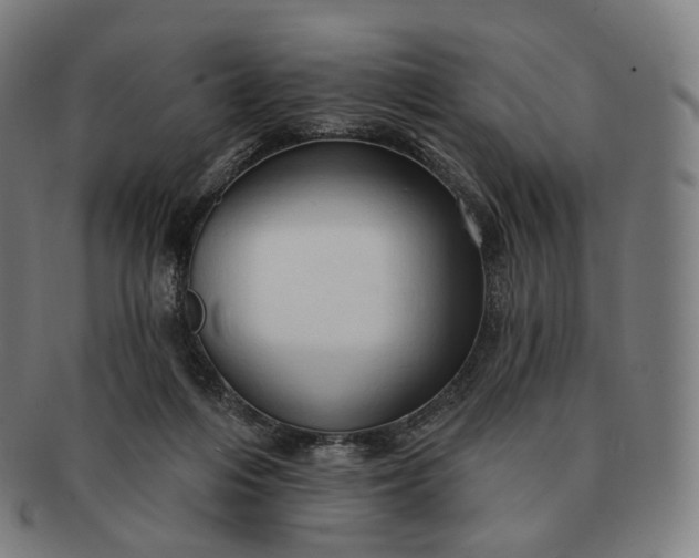 X0000091290216200708241036