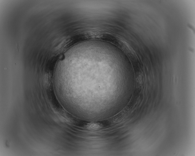 X0000091290218200708241036