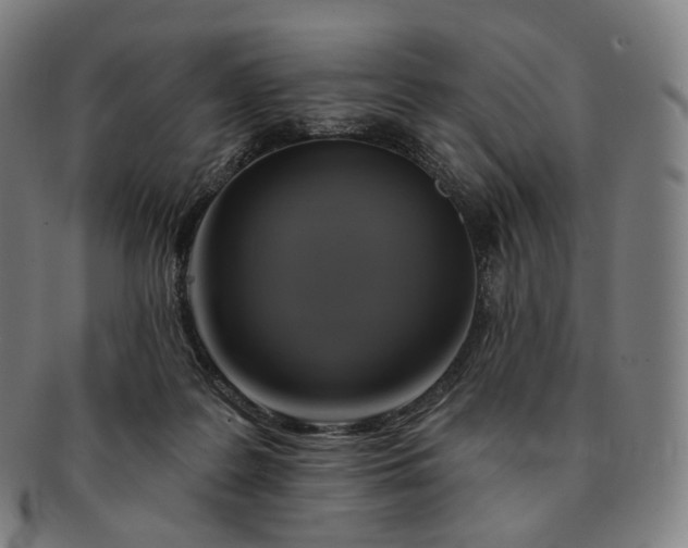 X0000091290219200708241036