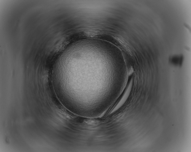 X0000091290221200708241036