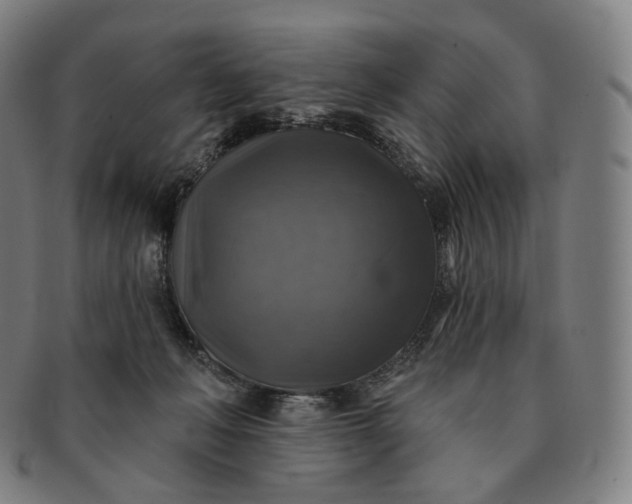 X0000091290222200708241036