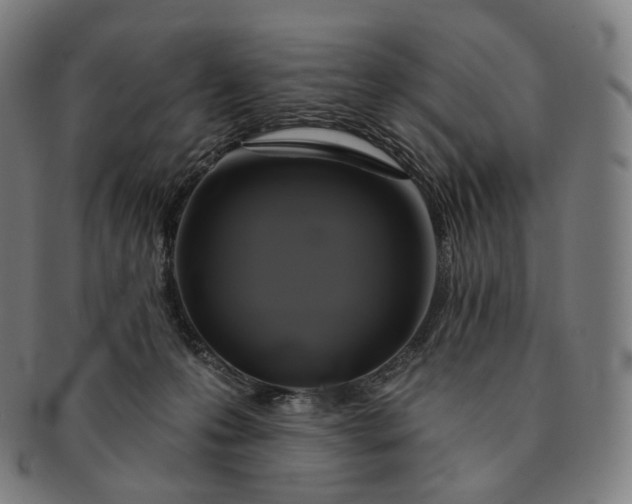 X0000091290223200708241036