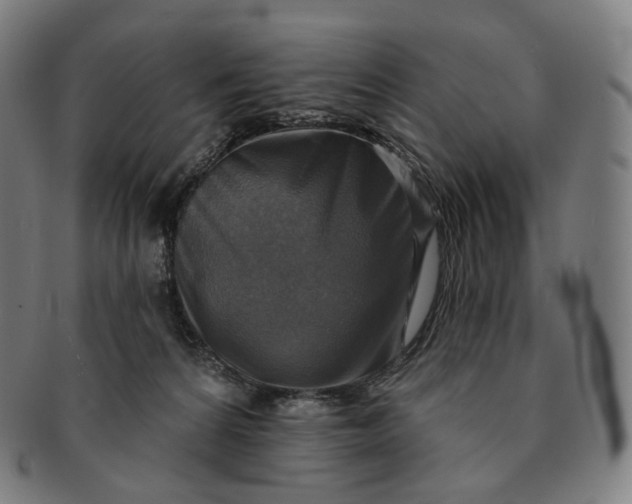 X0000091290224200708241036