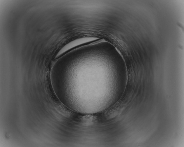 X0000091290225200708241036