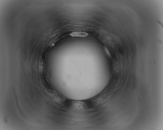 X0000091290226200708241036