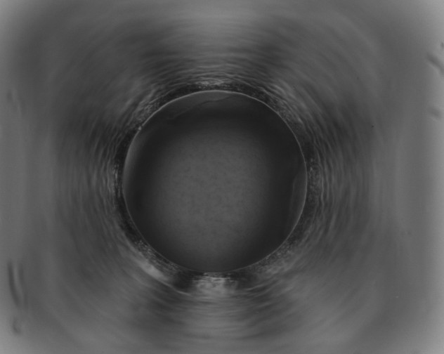 X0000091290227200708241036