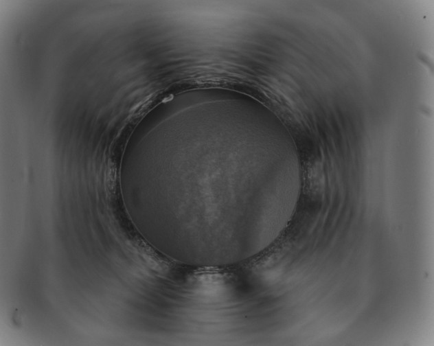 X0000091290228200708241036