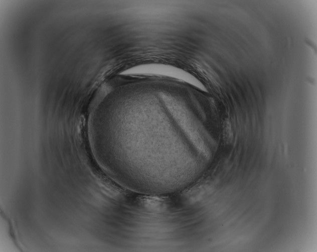 X0000091290229200708241036