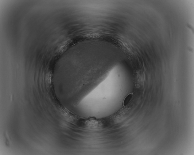 X0000091290230200708241036