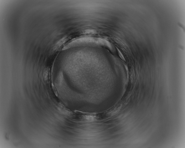 X0000091290233200708241036