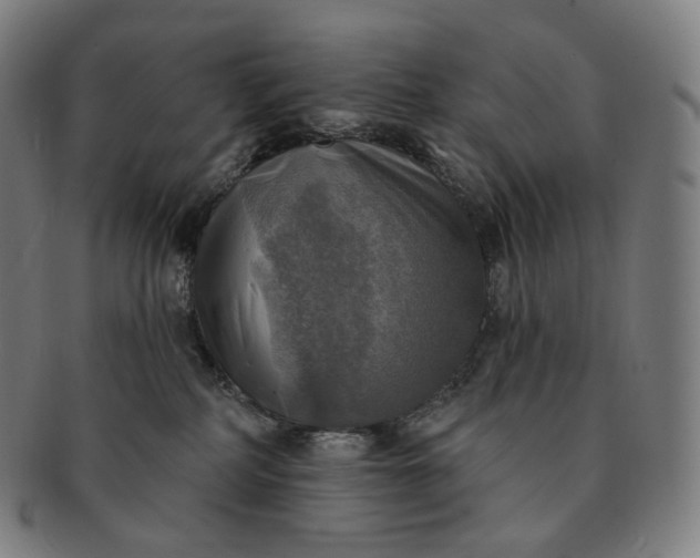 X0000091290234200708241036