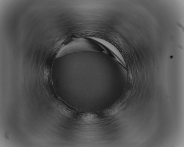 X0000091290235200708241036